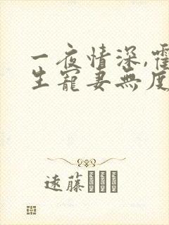 一夜情深,霍先生宠妻无度 小说完整