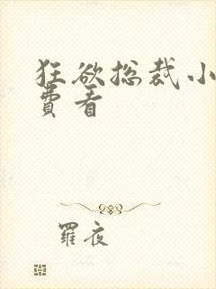 狂欲总裁小说免费看封面