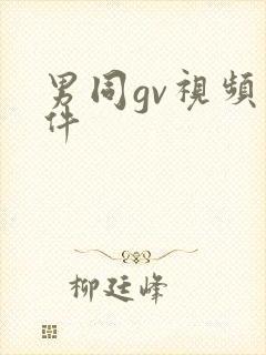 男同gv视频软件