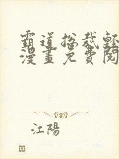 霸道总裁轻点爱漫画免费阅读全部封面
