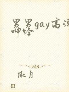 男男gay高潮呻吟