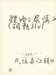 体内s尿慎入h(调教)1v1