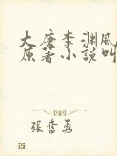 大唐李渊风流录原著小说叫什么名字封面