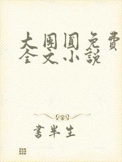 大团圆免费阅读全文小说封面