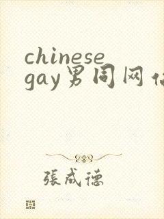 chinesegay男同网站封面