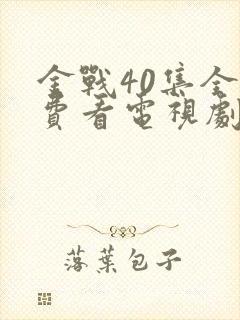 金战40集全免费看电视剧封面