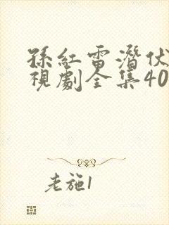 孙红雷潜伏者电视剧全集40集,免费观看