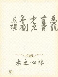 《年少有为》电视剧免费观看