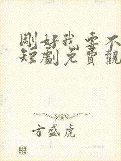 刚好我要不爱你短剧免费观看