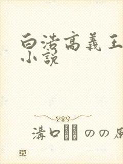白浩高义王局长小说
