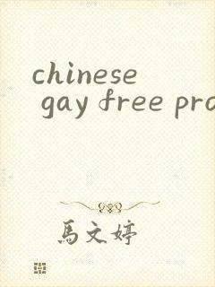 chinese gay free pron