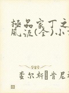 极品家丁之萧氏风流(全)小说封面