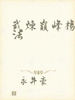 武炼巅峰杨开功法