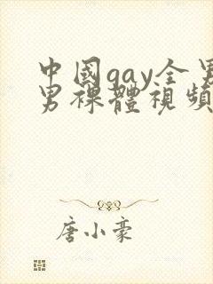 中国gay全男男裸体视频写真封面