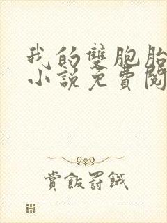 我的双胞胎老婆小说免费阅读