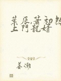 叶辰,萧初然 上门龙婿封面
