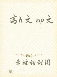 高h文 np文