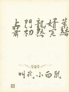 上门龙婿叶辰,萧初然完结版