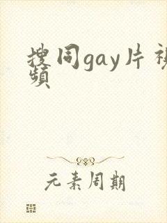 搜同gay片视频