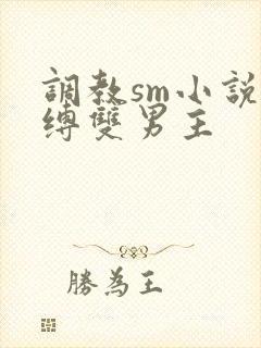 调教sm小说束缚双男主封面
