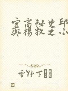 官商秘史邱玉汝与杨牧之小说