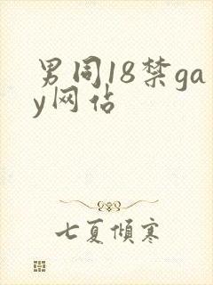 男同18禁gay网站封面