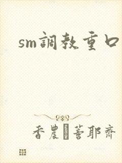 sm调教重口文