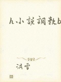 h小说调教bl