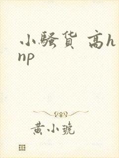 小骚货 高h np封面