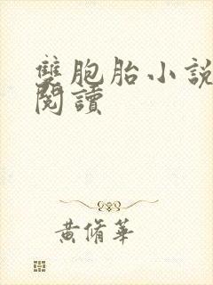 双胞胎小说免费阅读