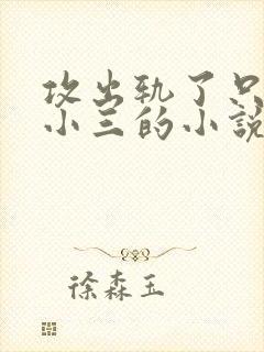 攻出轨了只爱男小三的小说
