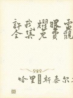 许我耀眼电视剧全集免费观看15集