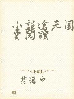 小说沧元图的免费阅读