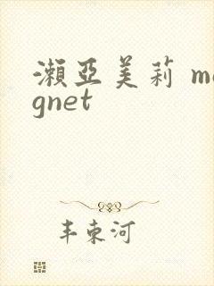 濑亚美莉 magnet