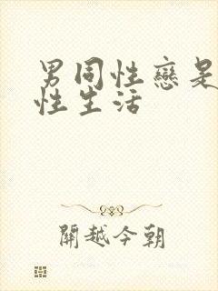 男同性恋是怎么性生活