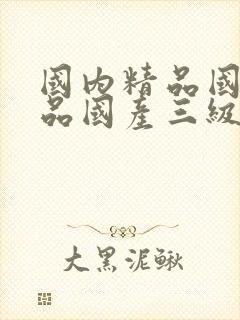 国内精品国产精品国产三级