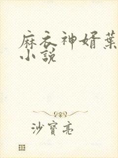 麻衣神婿叶红鱼小说