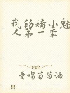我的娇小魅魔仆人第一季