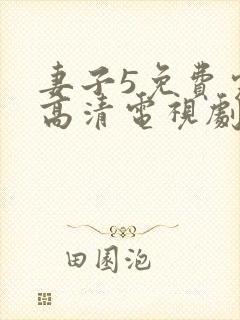 妻子5免费完整高清电视剧在线看
