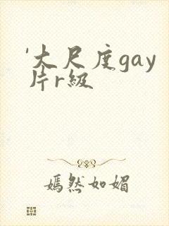 '大尺度gay片r级