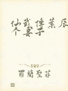 仙武传叶辰有几个妻子