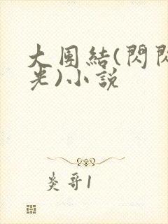 大团结(闪闪发光)小说封面