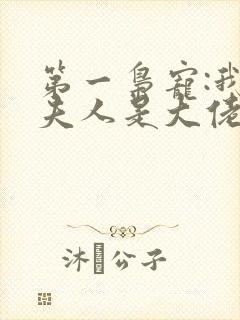 第一枭宠:我家夫人是大佬