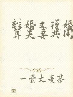 离婚又复婚财产算夫妻共同财产吗?