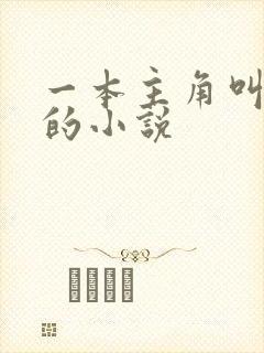 一本主角叫林萧的小说