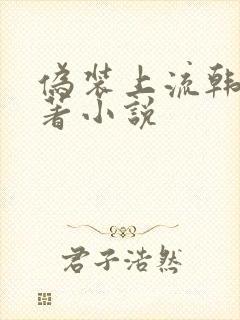 伪装上流韩漫原著小说