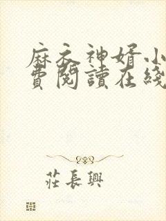 麻衣神婿小说免费阅读在线