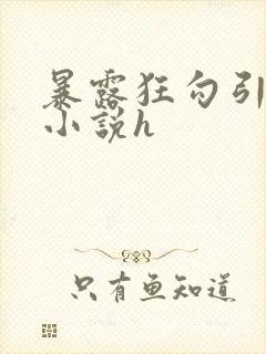 暴露狂勾引短篇小说h封面