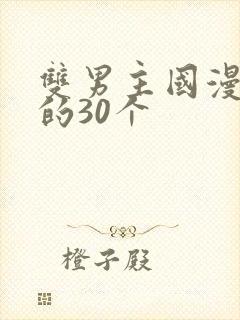 双男主国漫必看的30个封面