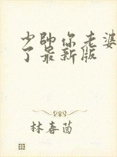 少帅你老婆又跑了最新版封面